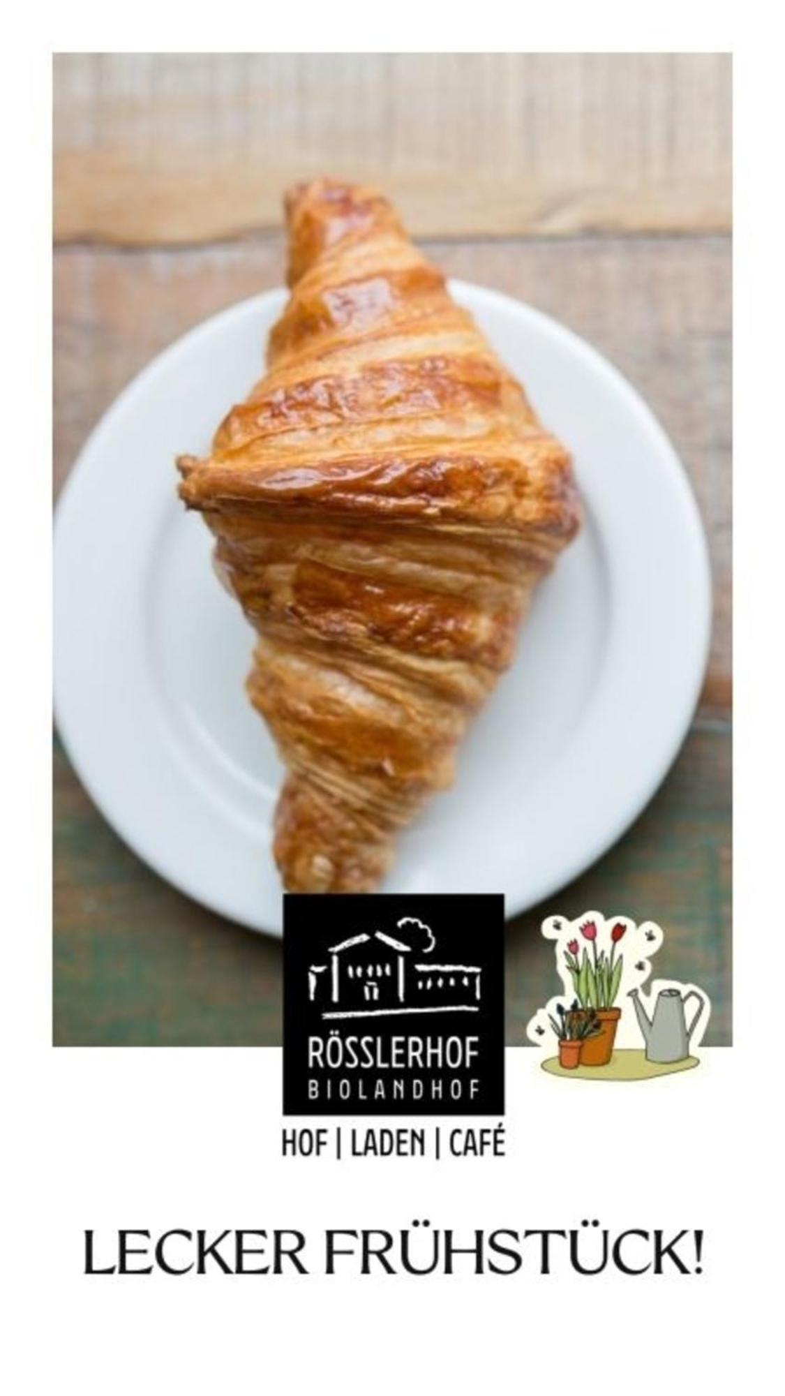 Roesslerhof Ferienwohnung Roesslerweiher Schlier 外观 照片