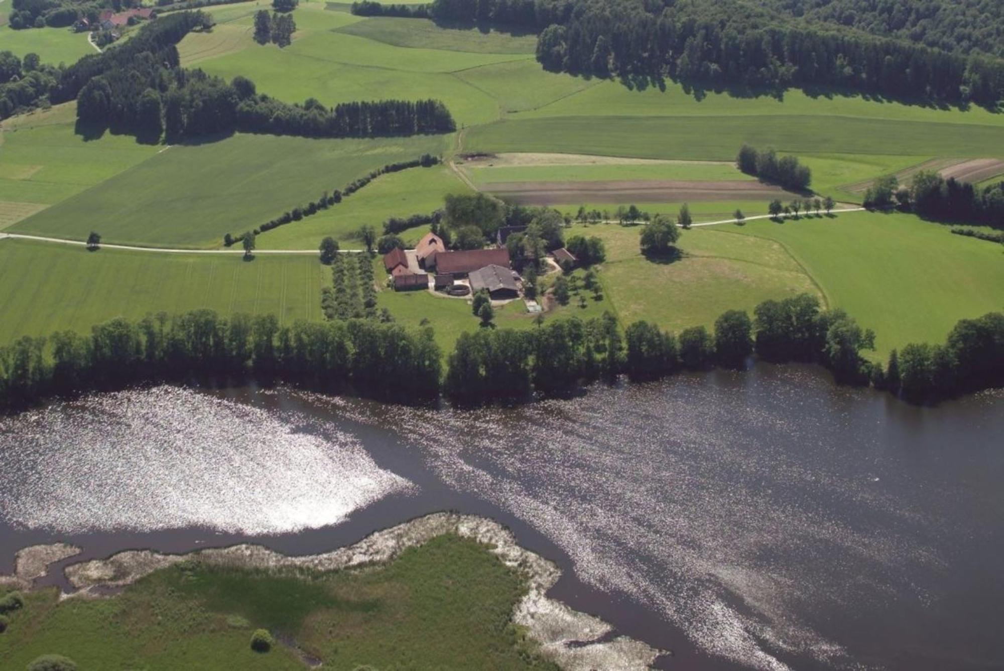 Roesslerhof Ferienwohnung Roesslerweiher Schlier 外观 照片