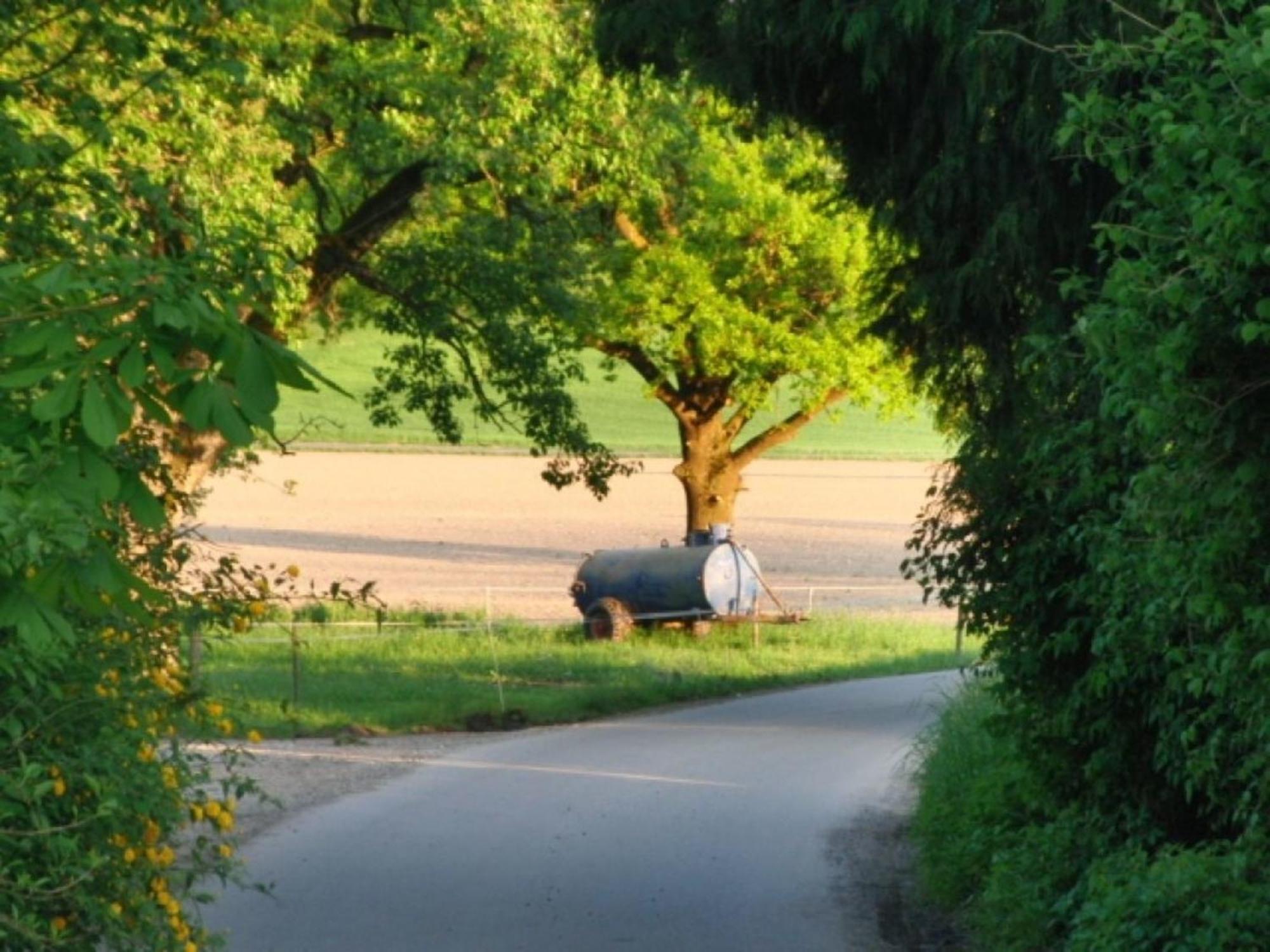 Roesslerhof Ferienwohnung Roesslerweiher Schlier 外观 照片